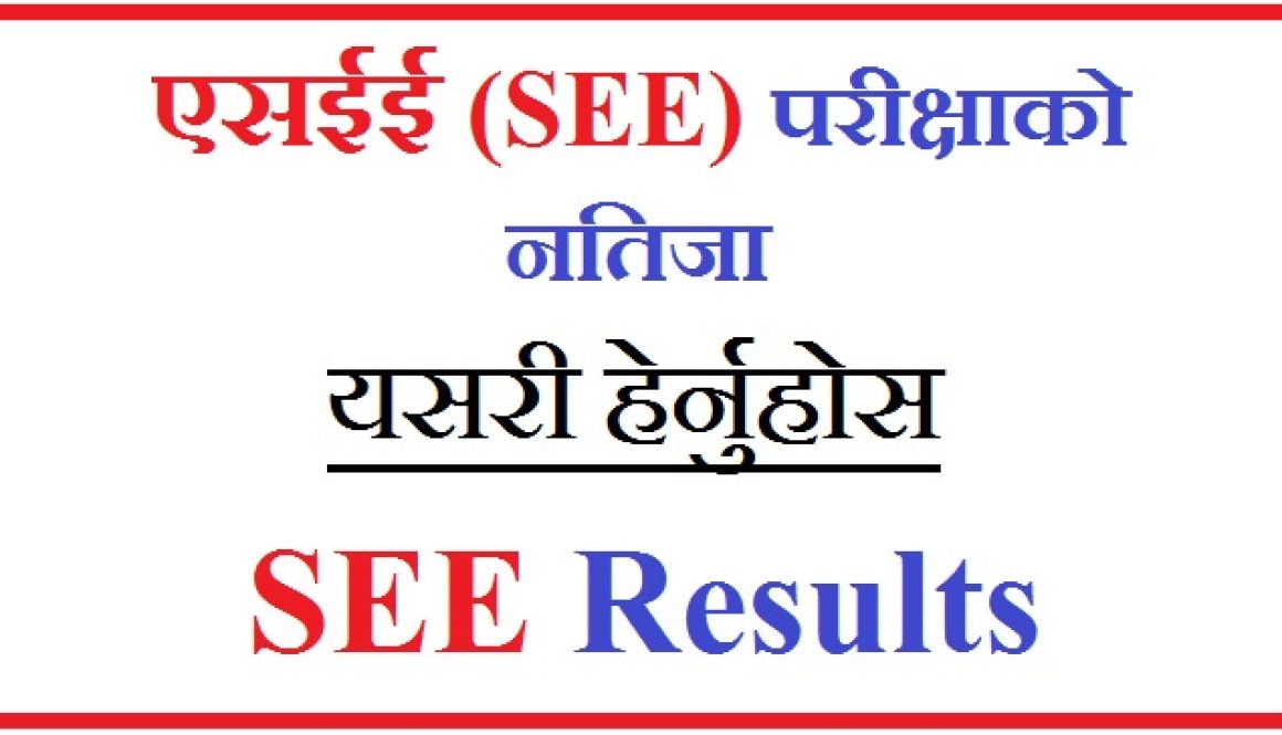 SEE-Result